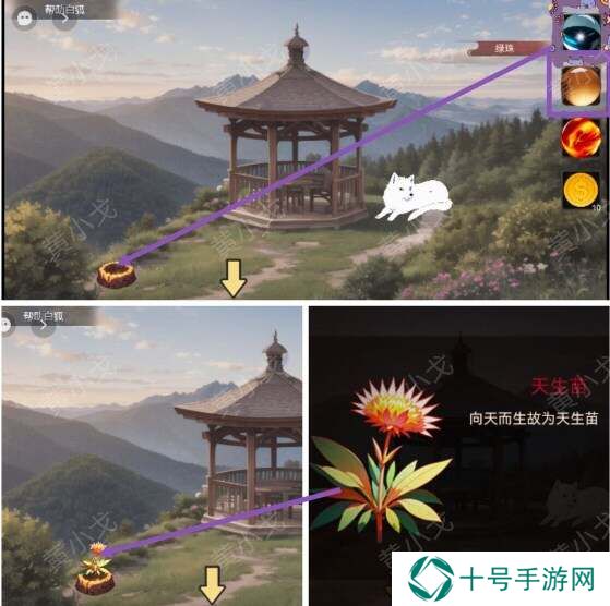 欲望与白之书游戏攻略   欲望与白之书图文攻略总汇图片9