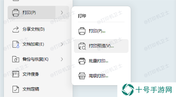 使用打印预览功能