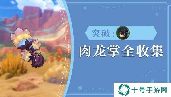 原神肉龙掌材料全收集    77个肉龙掌位置总汇图片1