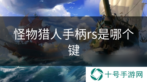 怪物猎人手柄rs是哪个键
