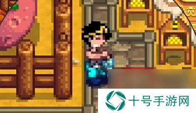 星露谷物语隐藏表情解锁方法