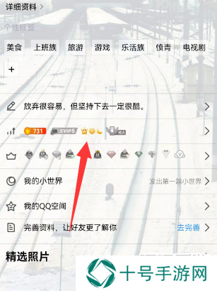 qq等级全球排行查询