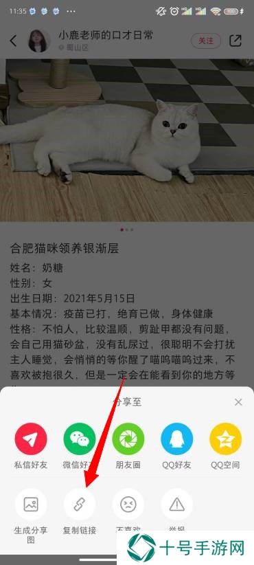 小红书图片怎么去水印