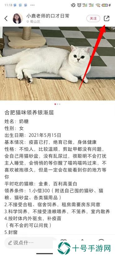 小红书图片怎么去水印