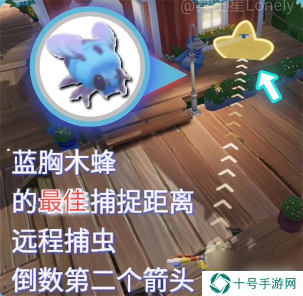 心动小镇蓝胸木蜂在哪里 蓝胸木蜂具体位置一览