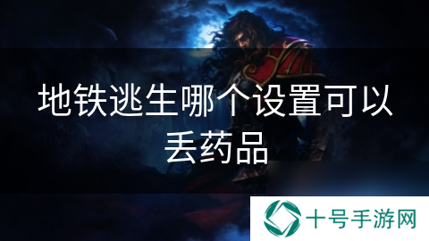 地铁逃生哪个设置可以丢药品