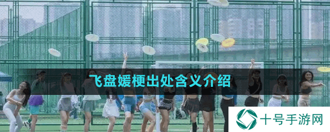 飞盘媛梗出处含义介绍