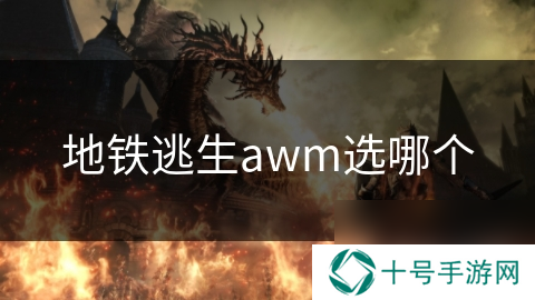 地铁逃生awm选哪个