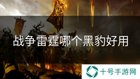 战争雷霆哪个黑豹好用