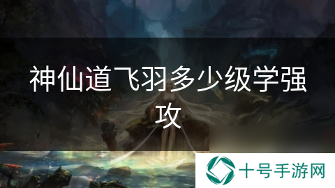神仙道飞羽多少级学强攻