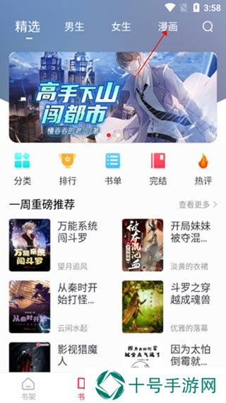 追书大师