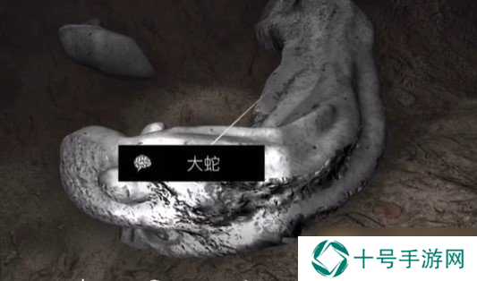 《孙美琪疑案：浮生若梦》四级线索——大蛇