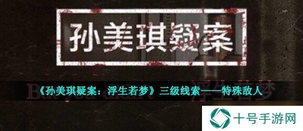 《孙美琪疑案：浮生若梦》三级线索——特殊敌人