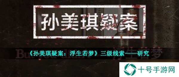 《孙美琪疑案：浮生若梦》三级线索——研究
