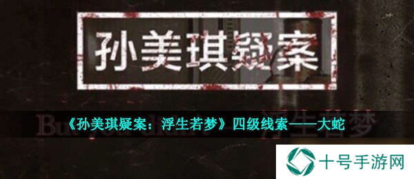 《孙美琪疑案：浮生若梦》四级线索——大蛇